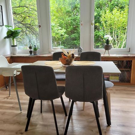 Family Apartment Linz Wohnen Mit Garten Am Fusse Des Poestlingbergs Top Lage Villenviertel Dış mekan fotoğraf