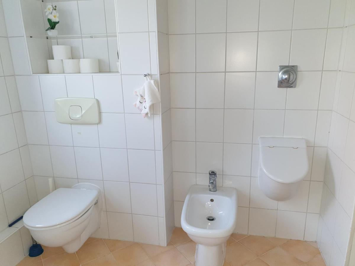 Family Apartment Linz Wohnen Mit Garten Am Fusse Des Poestlingbergs Top Lage Villenviertel Dış mekan fotoğraf