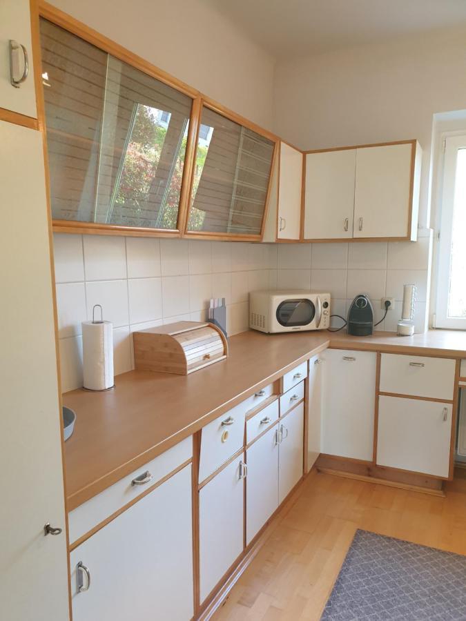 Family Apartment Linz Wohnen Mit Garten Am Fusse Des Poestlingbergs Top Lage Villenviertel Dış mekan fotoğraf