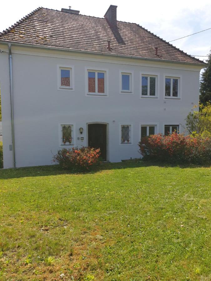 Family Apartment Linz Wohnen Mit Garten Am Fusse Des Poestlingbergs Top Lage Villenviertel Dış mekan fotoğraf