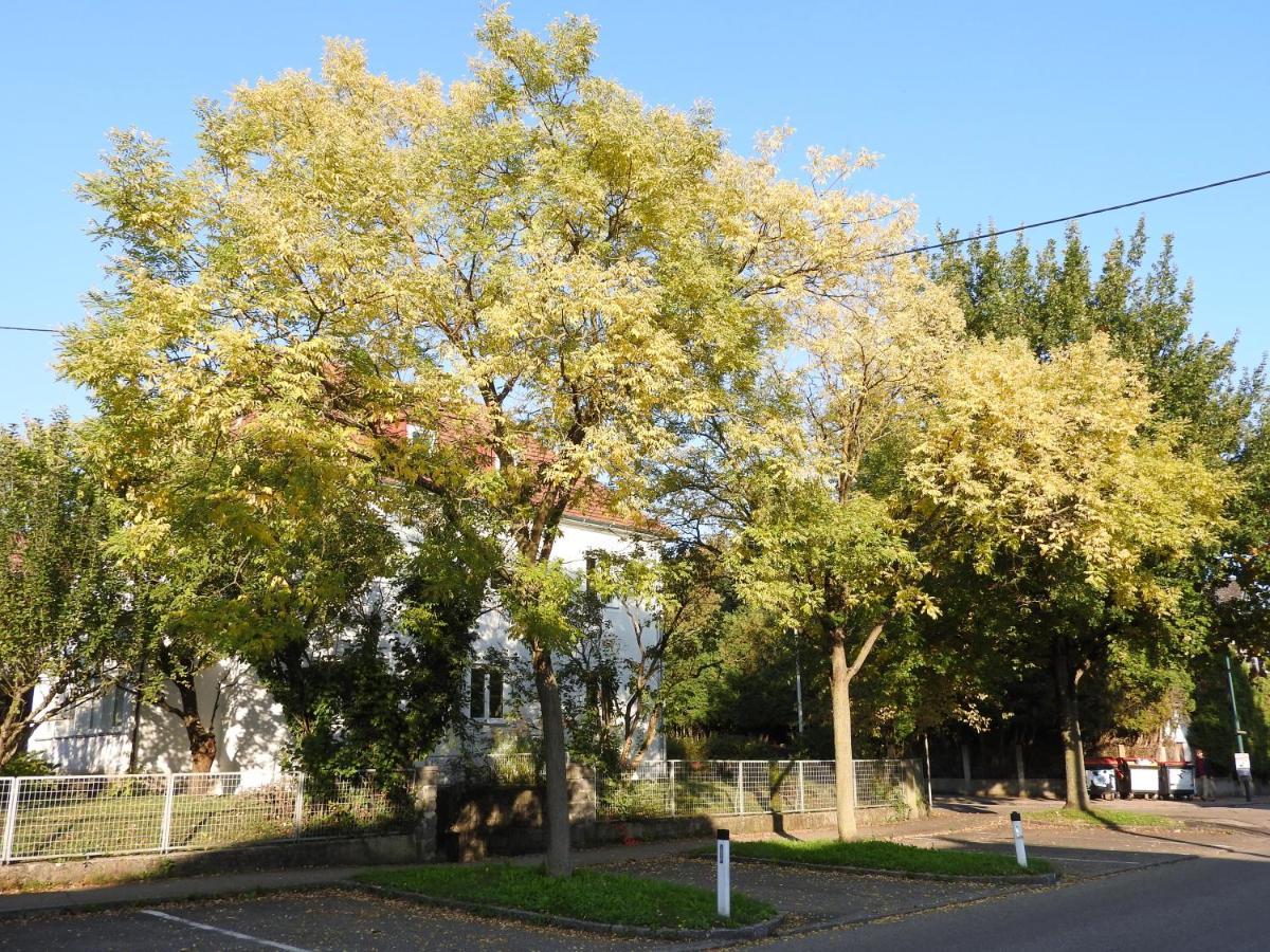Family Apartment Linz Wohnen Mit Garten Am Fusse Des Poestlingbergs Top Lage Villenviertel Dış mekan fotoğraf