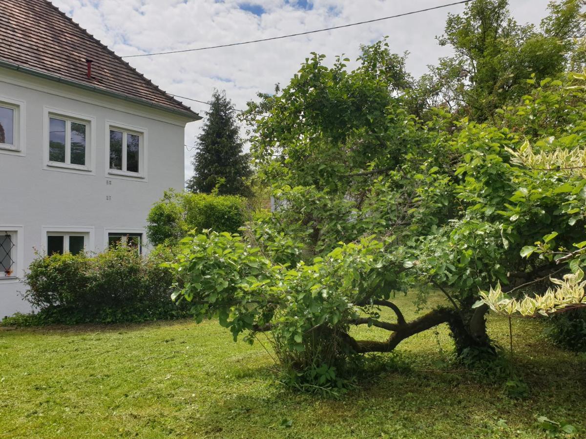 Family Apartment Linz Wohnen Mit Garten Am Fusse Des Poestlingbergs Top Lage Villenviertel Dış mekan fotoğraf