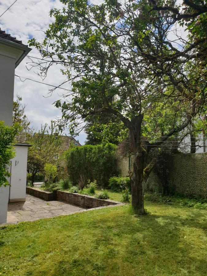 Family Apartment Linz Wohnen Mit Garten Am Fusse Des Poestlingbergs Top Lage Villenviertel Dış mekan fotoğraf
