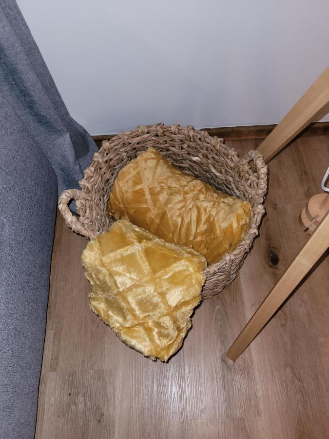 Family Apartment Linz Wohnen Mit Garten Am Fusse Des Poestlingbergs Top Lage Villenviertel Dış mekan fotoğraf