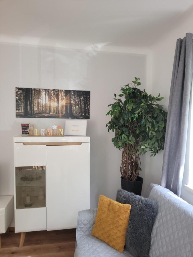 Family Apartment Linz Wohnen Mit Garten Am Fusse Des Poestlingbergs Top Lage Villenviertel Dış mekan fotoğraf