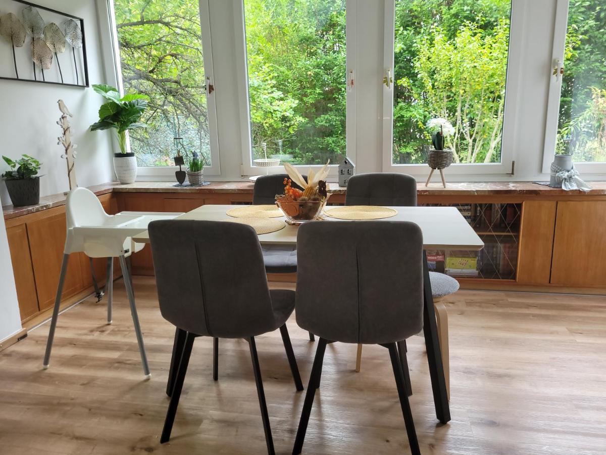 Family Apartment Linz Wohnen Mit Garten Am Fusse Des Poestlingbergs Top Lage Villenviertel Dış mekan fotoğraf