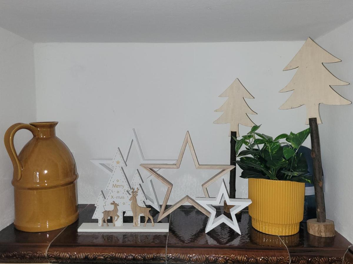 Family Apartment Linz Wohnen Mit Garten Am Fusse Des Poestlingbergs Top Lage Villenviertel Dış mekan fotoğraf